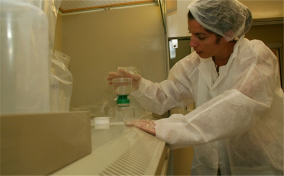 一位科学家在摩纳哥的国际原子能机构环境实验室准备样品分析汞。