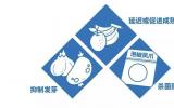 辐照食品能放心吃吗？