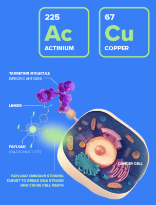 NorthStar Medical Radioisotopes 和 Curie Therapeutics 宣布治疗性放射性同位素 Actinium-225 (Ac-225) 的优先获取供应协议