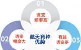 科普航天育种，经历太空之旅，“天选之种”何去何从 